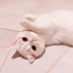 Avatar de Felipe Madrid